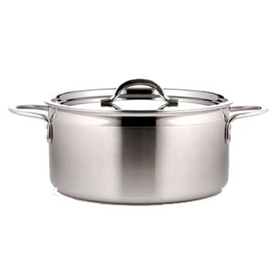 stainless steel handled pot with lid