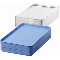 Food Delivery Trays