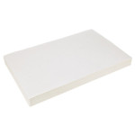 AllPoints 1331075 - Rectangle-Type Fryer Oil Filters Case Of 100, Length: 28