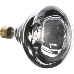 AllPoints 381035 - Infrared Bulb, clear, medium base, 115/125v, 250 watt, NSF