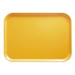 Cambro 46171 - Camtray, rectangular, 4-1/4