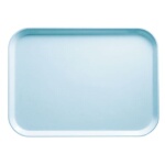 Cambro 46177 - Camtray, rectangular, 4-1/4