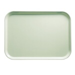 Cambro 46429 - Camtray, rectangular, 4-1/4