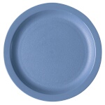 Cambro 825CWNR401 - Camwear Plate, 8-1/4