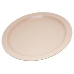 Carlisle PCD21025 - Plate, 10
