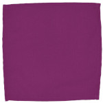 Intedge NCM2020-HP - Napkin, 20