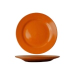 International Tableware CA-9-O - Plate, 9-3/4