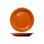 International Tableware CAN-9-O - Plate, 9-1/2