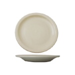 International Tableware VA-8 - Plate, 9