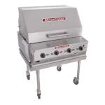 MagiKitch'n LPAGA-30S-LP - Magicater Portable Gas Grill, 30