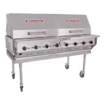 MagiKitch'n LPAGA-60S-LP - Magicater Portable Gas Grill, 60