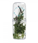 Norpro 811 - Herb Keeper, 9