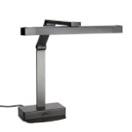 Spring USA 2791-ILT400 - iLume Infrared Multi-position Heat Lamp, 10