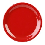 Thunder Group CR010PR - Plate, 10-1/2