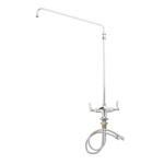 T&S Brass B-0270 - Double Pantry Faucet, elevated 18