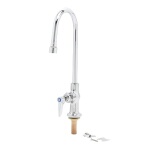 T&S Brass B-0305-VR - Pantry Faucet, single, rigid gooseneck, vandal resistant,
