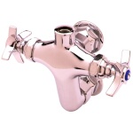 T&S Brass B-0315-LN - Pantry Faucet, double, splash-mounted, rigid base only, wi