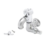 T&S Brass B-0720-RGH - Sill Faucet, vacuum breaker, 3/4