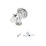 T&S Brass B-0731-POL - Sill Faucet, 3/4