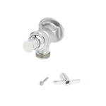 T&S Brass B-0731 - Sill Faucet, 3/4