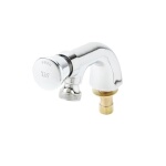 T&S Brass B-0806 - Self-Closing Faucet, with rose spray, push button, 1/2