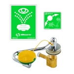 T&S Brass EW-7611 - Eyewash Unit, countertop mounted, pull down eye/face wash