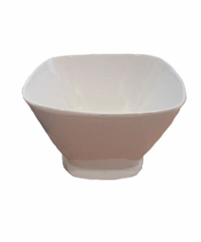 Bon Chef 53303 Plastic Bowl 