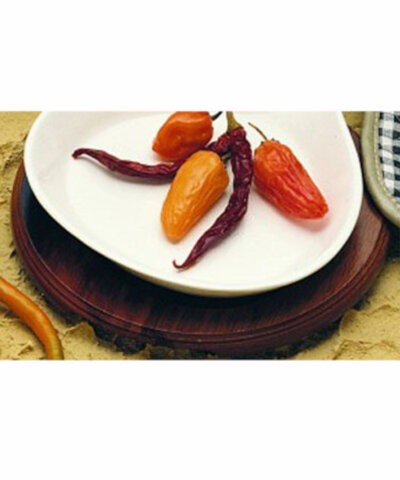 Bon Chef 85011 Thermal Platter Underliner 
