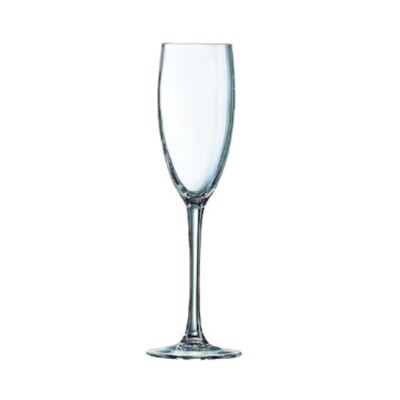 Cardinal 48024 Champagne Glass 