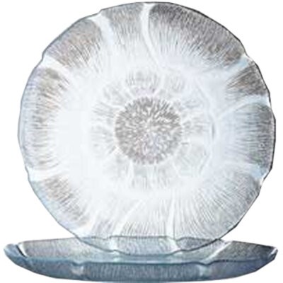 Cardinal J0232 Glass Plate 