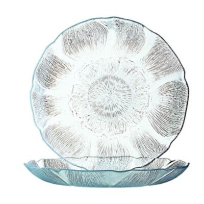 Cardinal J0856 Glass Plate 