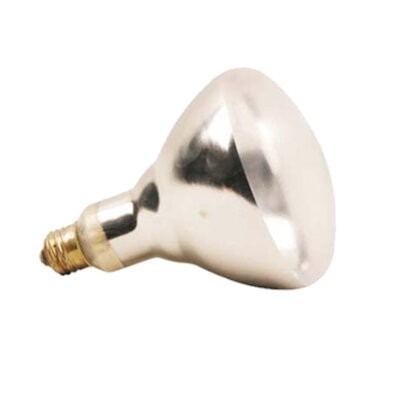 AllPoints 381135 Heat Lamp Bulb 