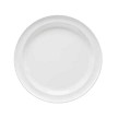 GET Enterprises DP-508-W Plastic Plate 