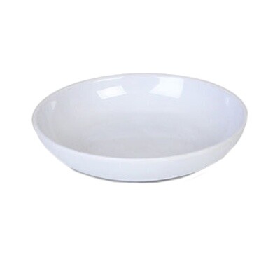 Thunder Group 1004TW Plastic Plate 