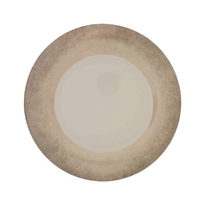 Thunder Group DM009J Plastic Plate 