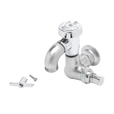 T&S Brass B-0720-RGH Wall Mount Faucet 